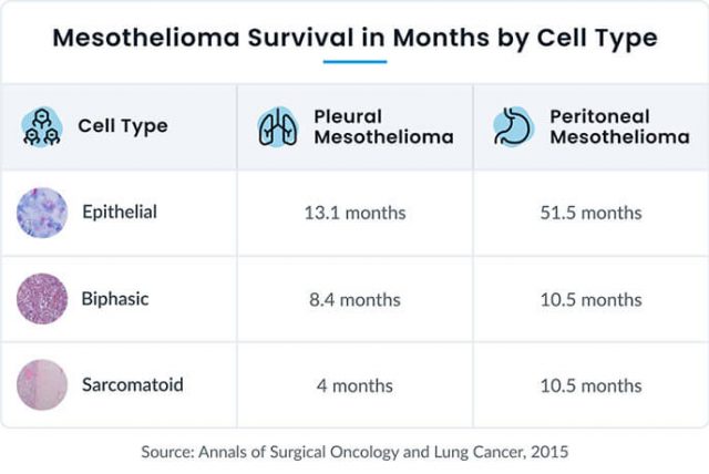 Mesothelioma survival rates by cell type