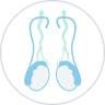 Testicular mesothelioma icon