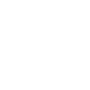 WordPress Designers